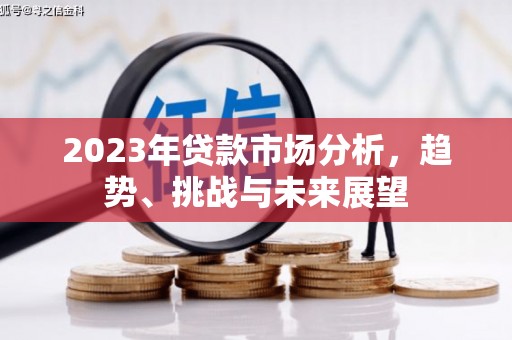 瑞芳2023年贷款市场分析，趋势、挑战与未来展望