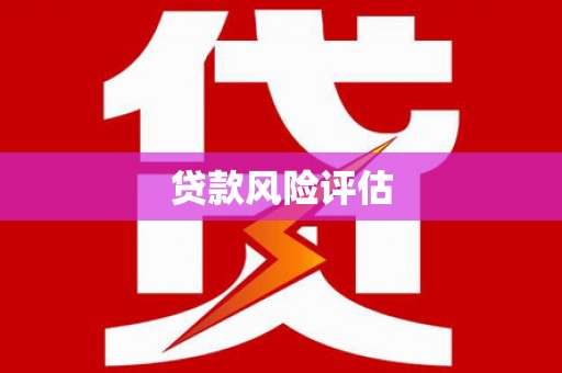 瑞芳贷款风险评估