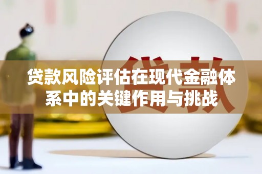 瑞芳贷款风险评估在现代金融体系中的关键作用与挑战