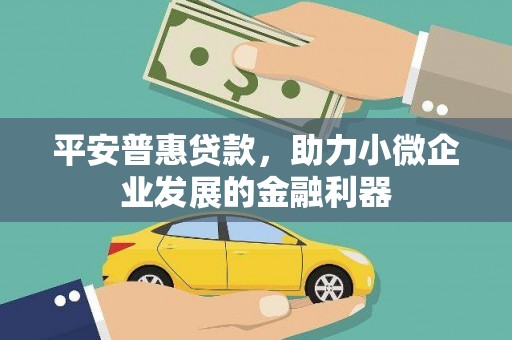 瑞芳平安普惠贷款，助力小微企业发展的金融利器