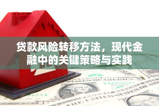 瑞芳贷款风险转移方法，现代金融中的关键策略与实践