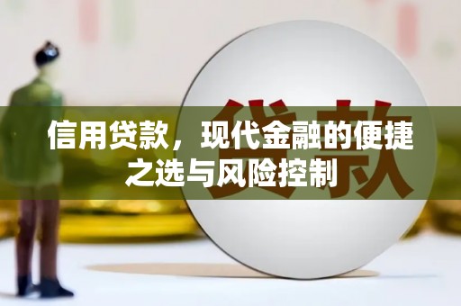 瑞芳信用贷款，现代金融的便捷之选与风险控制