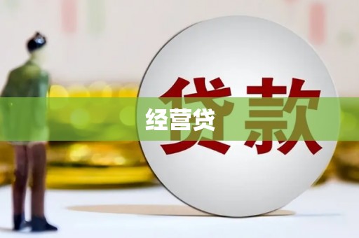 瑞芳经营贷