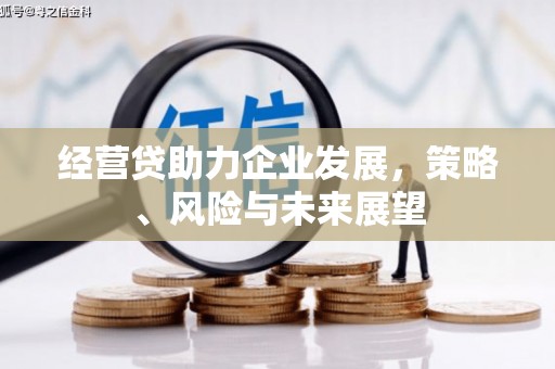 瑞芳经营贷助力企业发展，策略、风险与未来展望