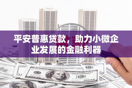 瑞芳平安普惠贷款，助力小微企业发展的金融利器