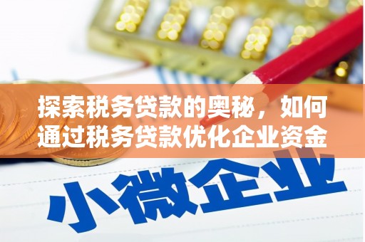 瑞芳探索税务贷款的奥秘，如何通过税务贷款优化企业资金流