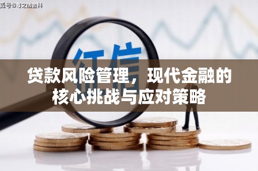 瑞芳贷款风险管理，现代金融的核心挑战与应对策略