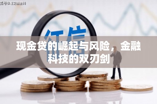 瑞芳现金贷的崛起与风险，金融科技的双刃剑