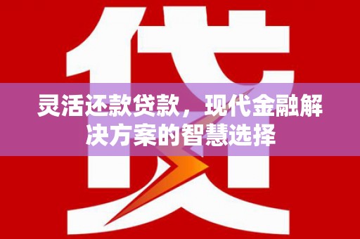 瑞芳灵活还款贷款，现代金融解决方案的智慧选择