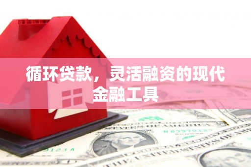 瑞芳循环贷款，灵活融资的现代金融工具