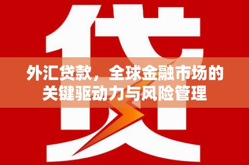 瑞芳外汇贷款，全球金融市场的关键驱动力与风险管理