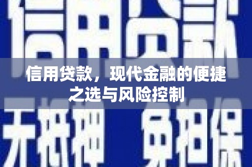 瑞芳信用贷款，现代金融的便捷之选与风险控制