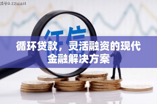 瑞芳循环贷款，灵活融资的现代金融解决方案