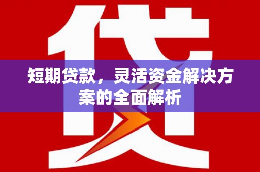 瑞芳短期贷款，灵活资金解决方案的全面解析