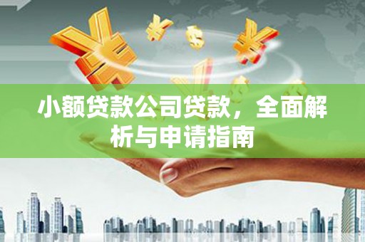 瑞芳小额贷款公司贷款，全面解析与申请指南