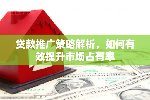 瑞芳贷款推广策略解析，如何有效提升市场占有率