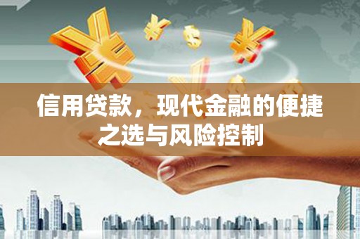 瑞芳信用贷款，现代金融的便捷之选与风险控制
