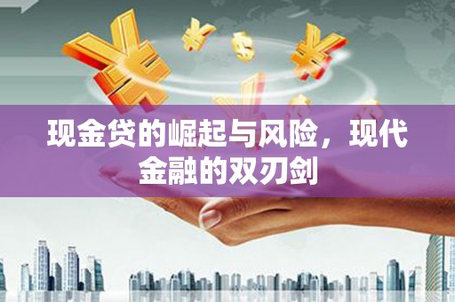 瑞芳现金贷的崛起与风险，现代金融的双刃剑