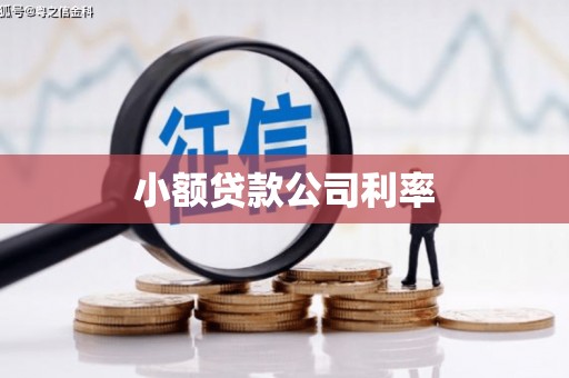 瑞芳小额贷款公司利率