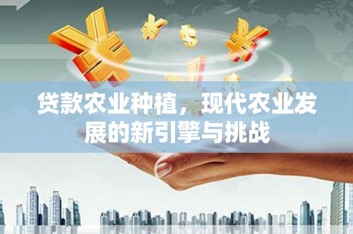 瑞芳贷款农业种植，现代农业发展的新引擎与挑战