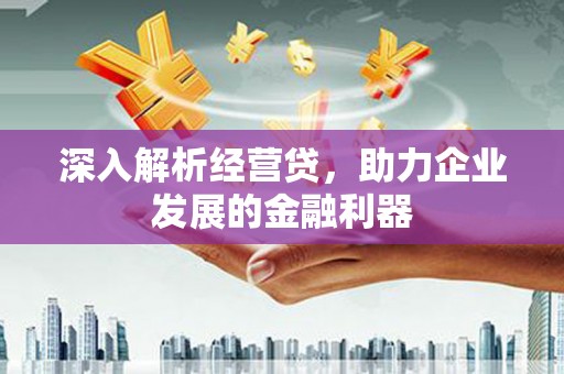 瑞芳深入解析经营贷，助力企业发展的金融利器