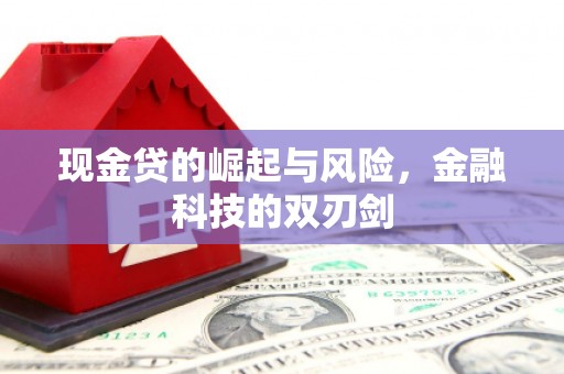 瑞芳现金贷的崛起与风险，金融科技的双刃剑
