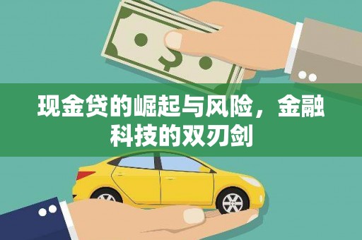 瑞芳现金贷的崛起与风险，金融科技的双刃剑