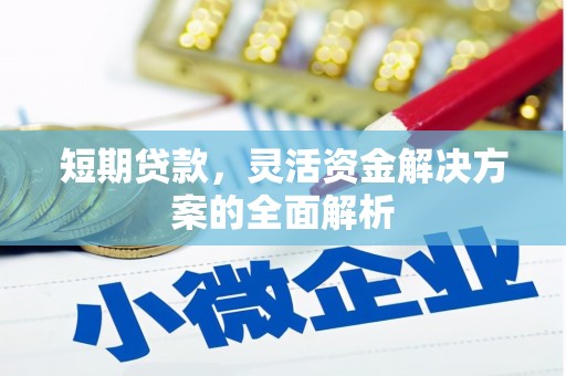 瑞芳短期贷款，灵活资金解决方案的全面解析