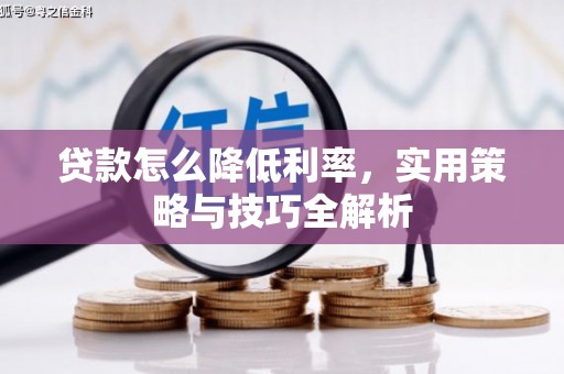 瑞芳贷款怎么降低利率，实用策略与技巧全解析