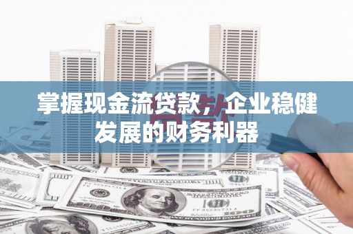 瑞芳掌握现金流贷款，企业稳健发展的财务利器