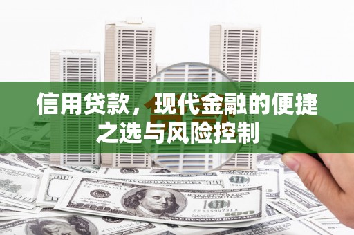 瑞芳信用贷款，现代金融的便捷之选与风险控制