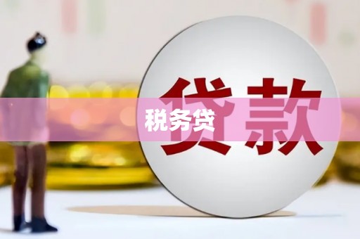 瑞芳税务贷