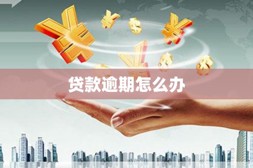 瑞芳贷款逾期怎么办