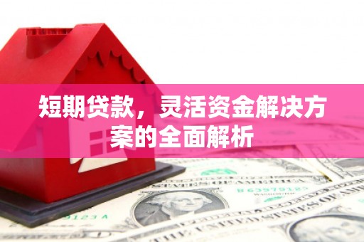 瑞芳短期贷款，灵活资金解决方案的全面解析
