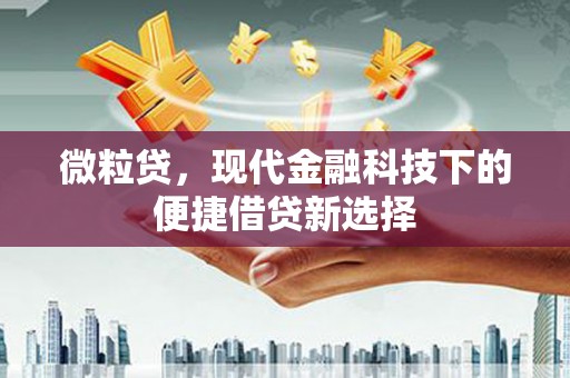 瑞芳微粒贷，现代金融科技下的便捷借贷新选择