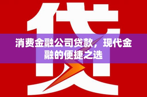 瑞芳消费金融公司贷款，现代金融的便捷之选