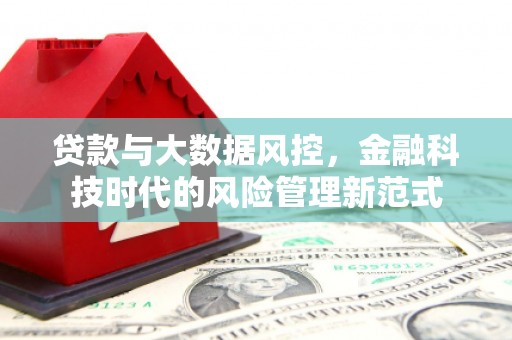 瑞芳贷款与大数据风控，金融科技时代的风险管理新范式