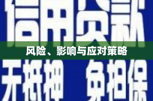 瑞芳风险、影响与应对策略