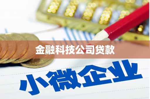 瑞芳金融科技公司贷款