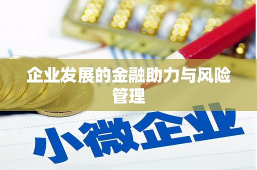 瑞芳企业发展的金融助力与风险管理