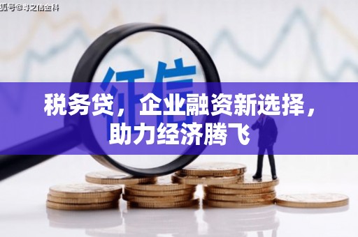 瑞芳税务贷，企业融资新选择，助力经济腾飞
