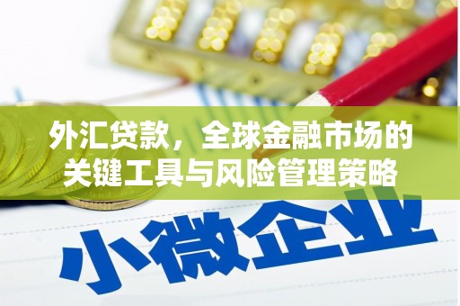 瑞芳外汇贷款，全球金融市场的关键工具与风险管理策略