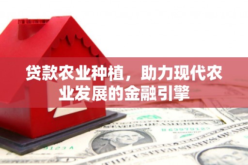 瑞芳贷款农业种植，助力现代农业发展的金融引擎