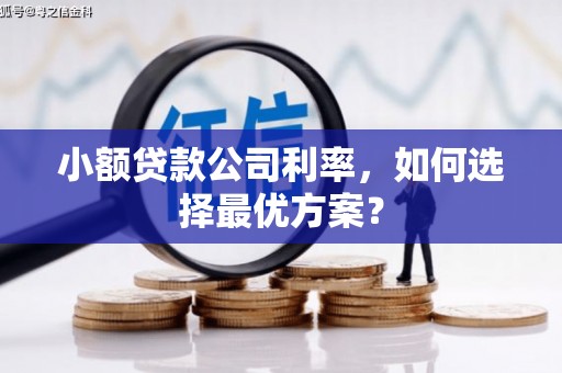 瑞芳小额贷款公司利率，如何选择最优方案？