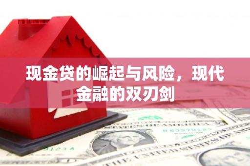 瑞芳现金贷的崛起与风险，现代金融的双刃剑