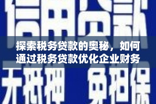 瑞芳探索税务贷款的奥秘，如何通过税务贷款优化企业财务