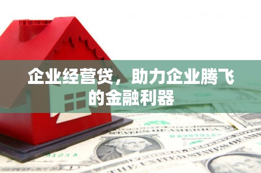 瑞芳企业经营贷，助力企业腾飞的金融利器