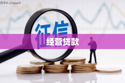 瑞芳经营贷款
