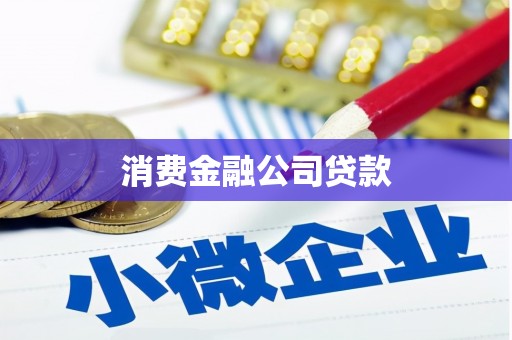 瑞芳消费金融公司贷款