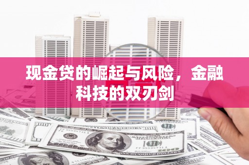 瑞芳现金贷的崛起与风险，金融科技的双刃剑